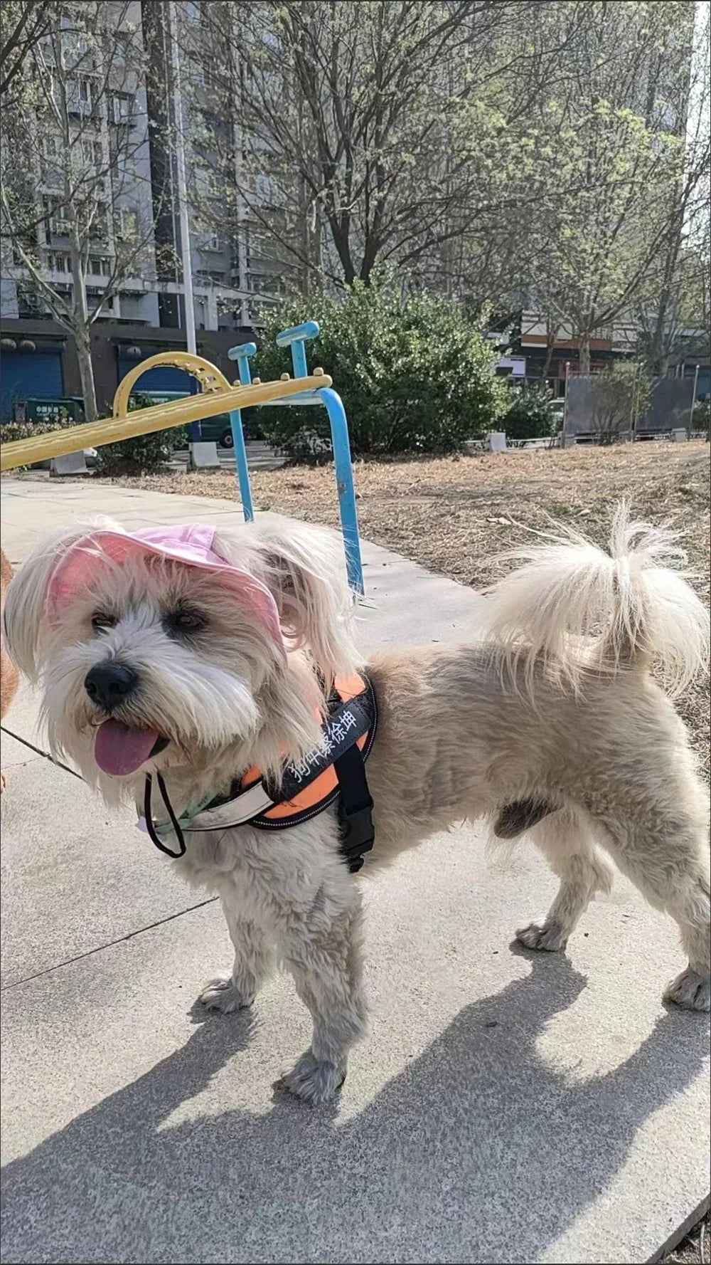 DS 360™ "DogOnn" Beach Hat Durable with Adjustable Draw-String!