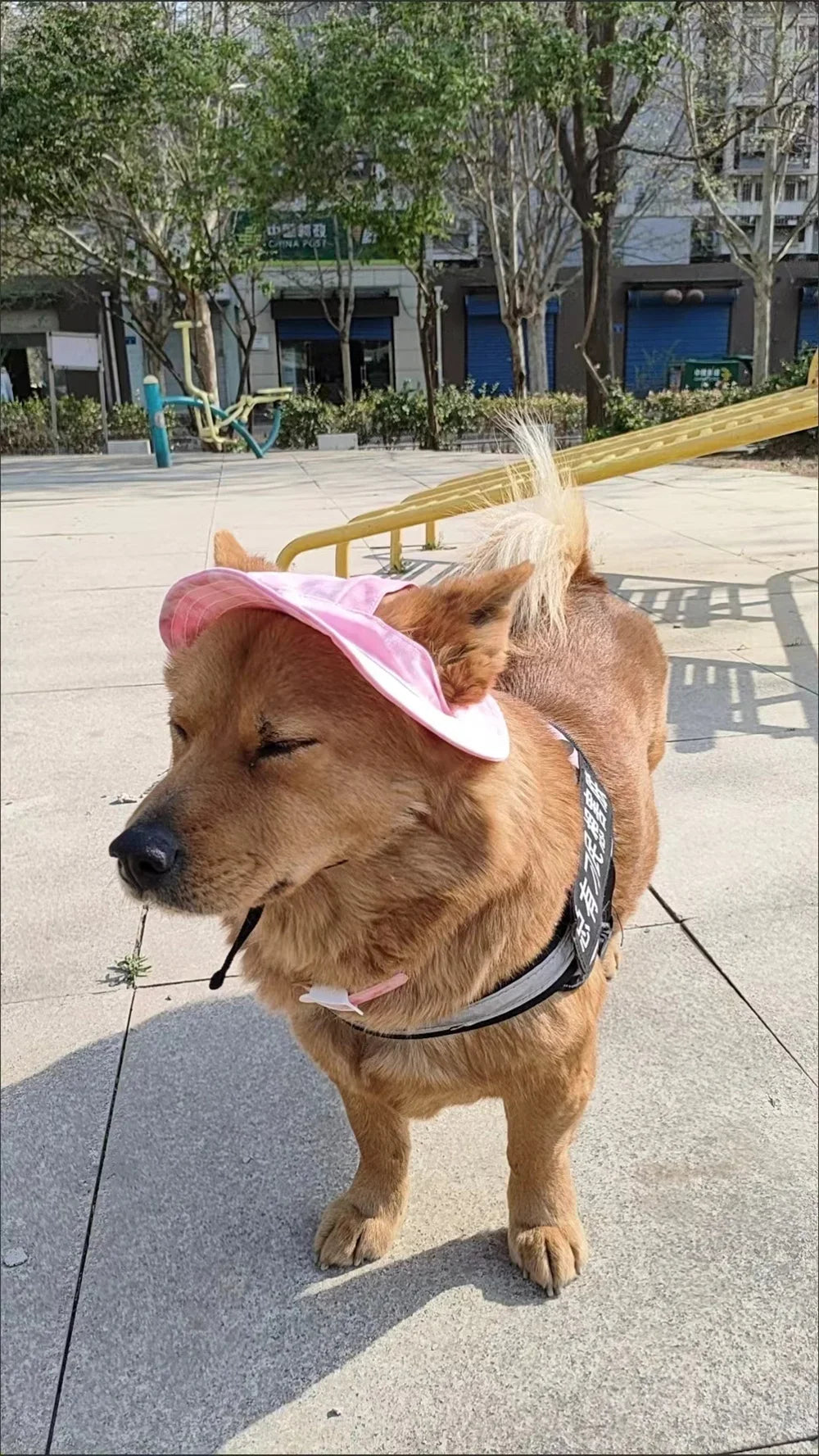 DS 360™ "DogOnn" Beach Hat Durable with Adjustable Draw-String!